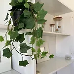 Apartamento Incantevole Mini In Centro A Padova. Padua