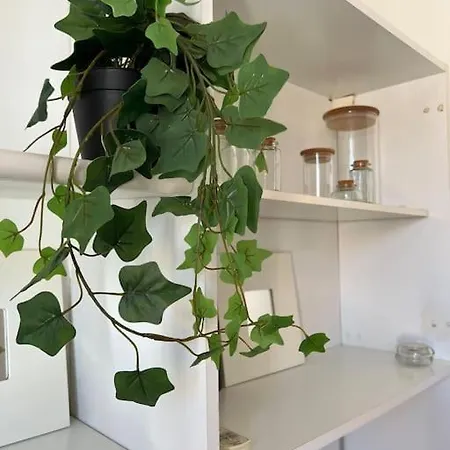 Apartment Incantevole Mini In Centro A Padova. Padua
